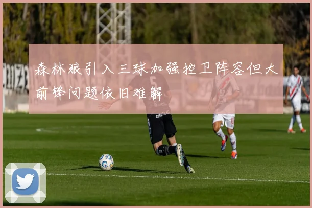 森林狼引入三球加强控卫阵容但大前锋问题依旧难解